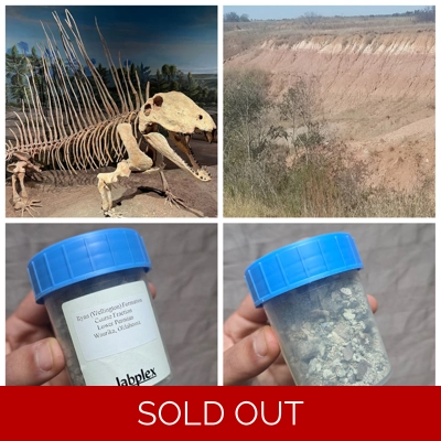 Rare Real Dinosaur Fossil Dig Experience Kit Permian of Oklahoma Edition 2